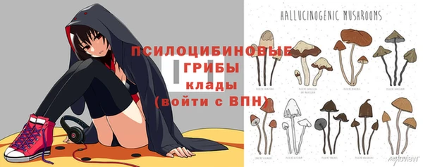 дурь Лихославль